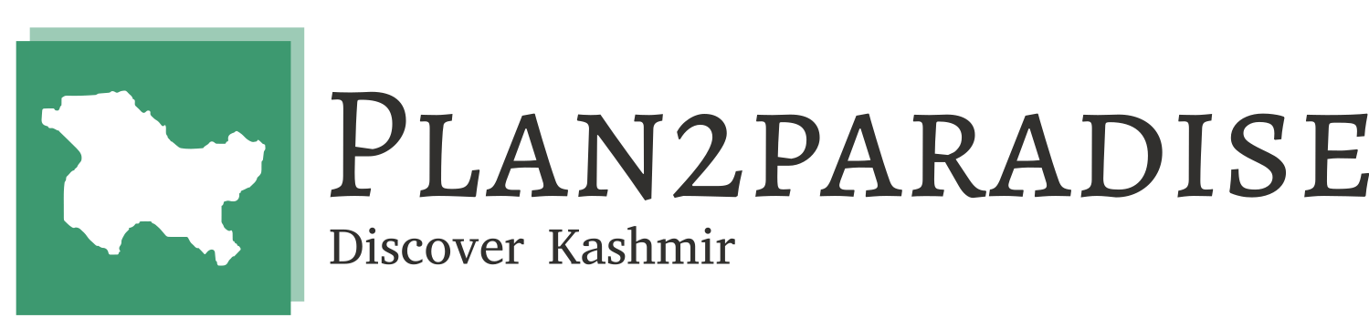plan2paradise